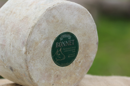Bonnet